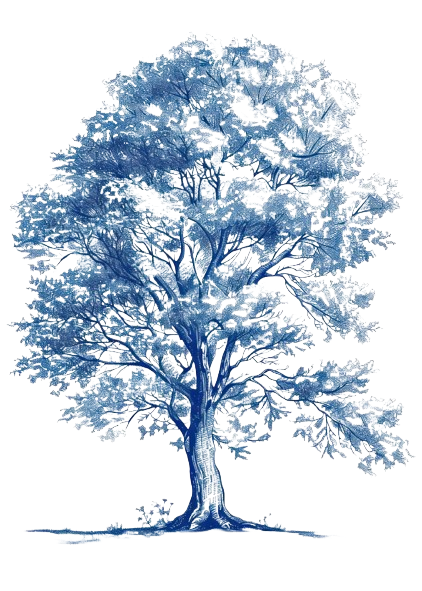 Discover Illustration